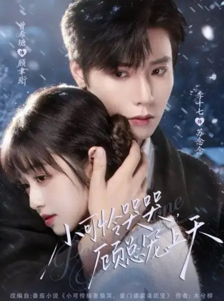 小可怜哭哭顾总宠上天（小可怜揣崽顾总宠上天）