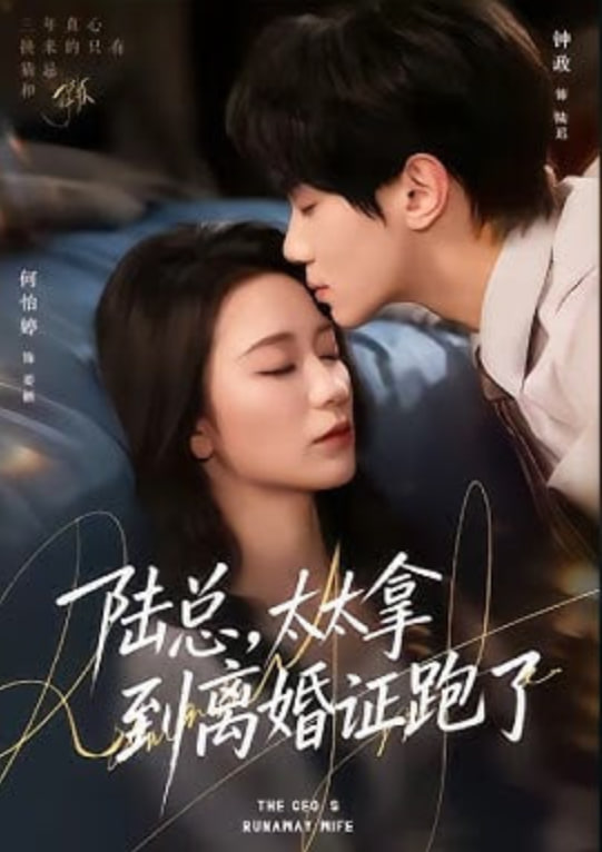 陆总，太太拿到离婚证跑了