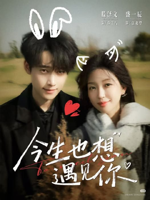 今生也想遇见你